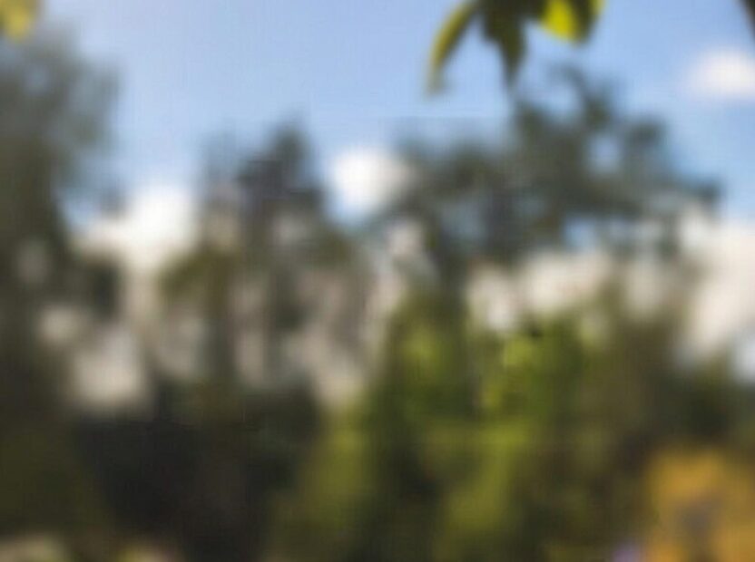 5472c2ae 1b6f 4f7b bbbb 7c389073ea08