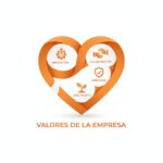 Valores